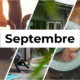 Evénements de septembre chez Bureaux And Co Nouvelles Galeries - Valence