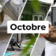 Evénements d'octobre chez Bureaux And Co Nouvelles Galeries – Valence