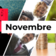 Les événements de novembre chez Bureaux And Co Nouvelles Galeries – Valence