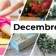 Les événements de décembre chez Bureaux And Co Nouvelles Galeries – Valence