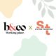 Bureaux & Co et Station Transition lancent ensemble un programme pour vous faire découvrir les enjeux de la RSE